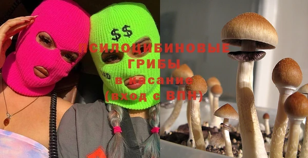 кокс Арсеньев
