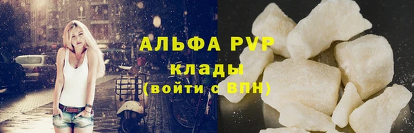 кокс Арсеньев