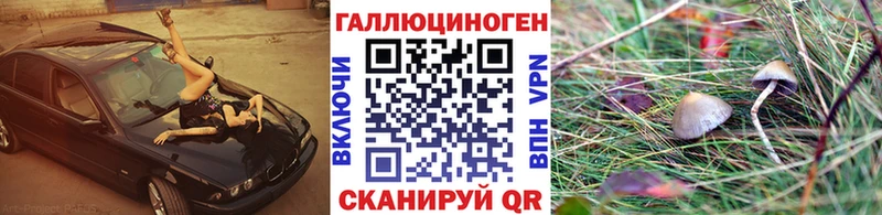 Галлюциногенные грибы мицелий  Спас-Деменск 